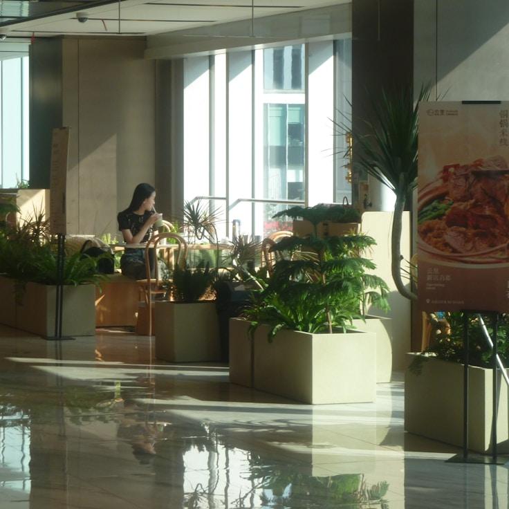 Family-friendly shopping and daily life in Portugal